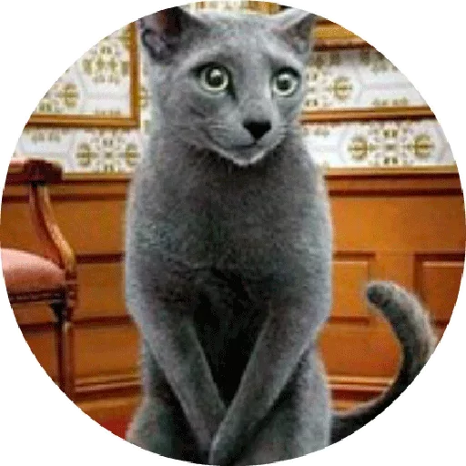 Эмодзи Котики и Кошечки