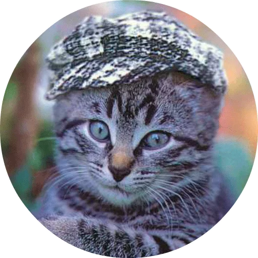 Эмодзи Котики и Кошечки