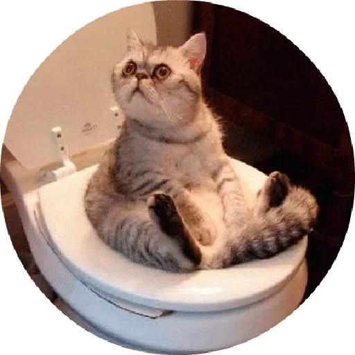 Эмодзи Котики и Кошечки