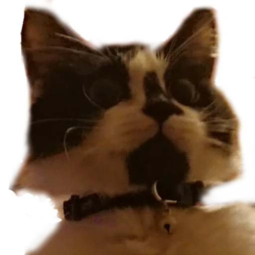 ?