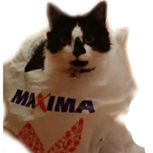 Эмодзи Catonios