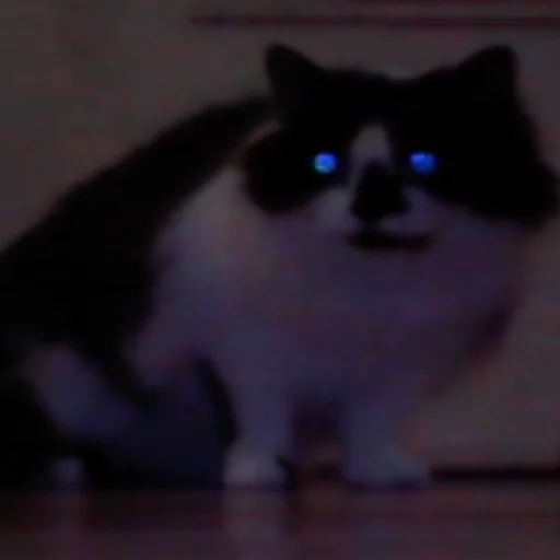 Эмодзи Catonios
