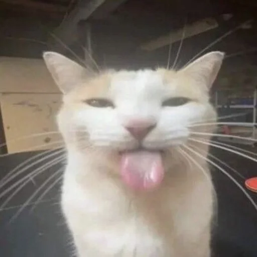 😛