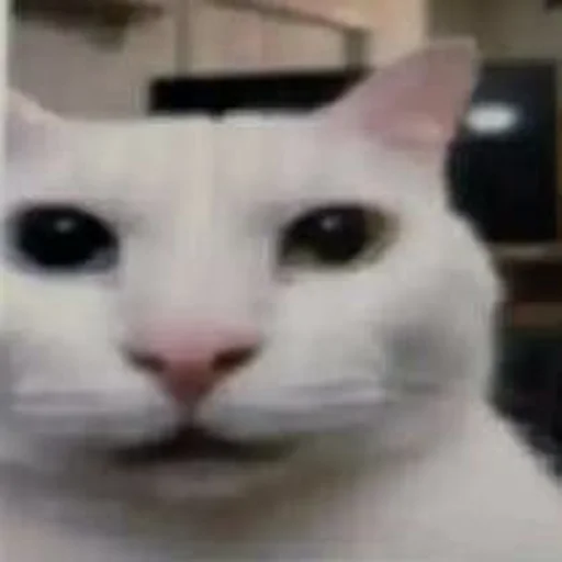 Эмодзи Silly cat