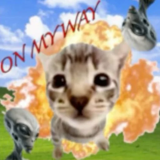 Эмодзи Silly cat