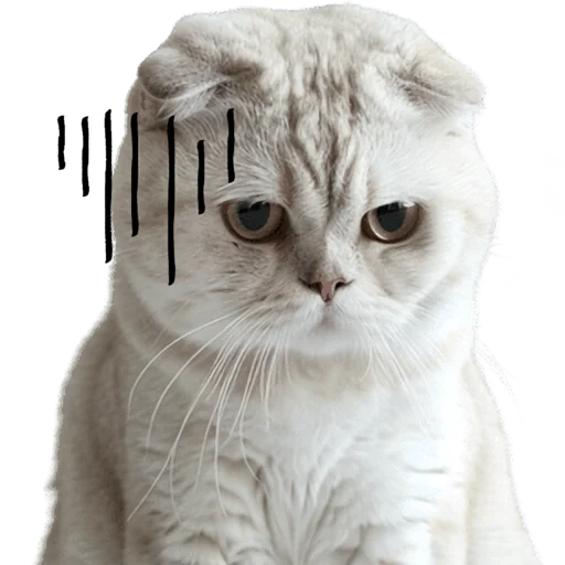 Эмодзи Кошачий отряд