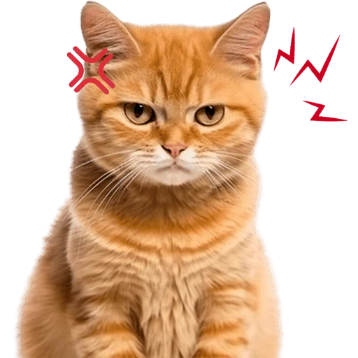 Эмодзи Кошачий отряд