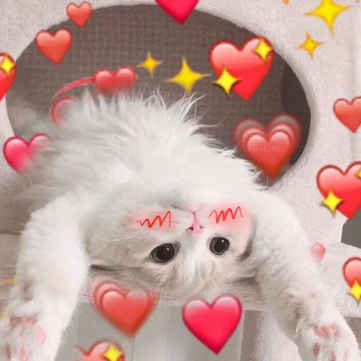 Эмодзи Ꮶᴏᴛиᴋи