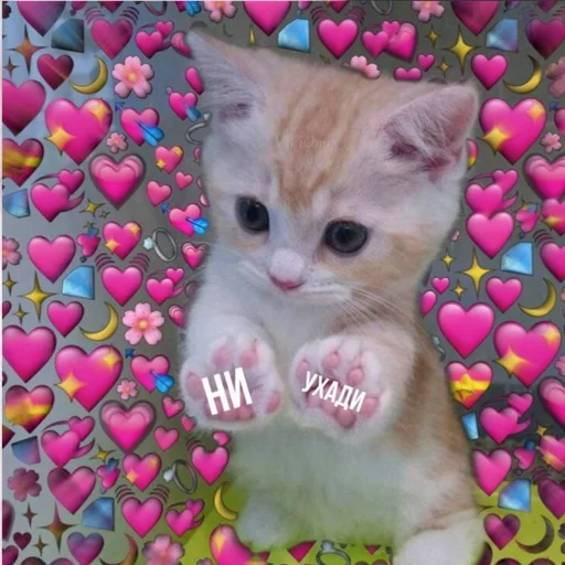 Эмодзи Ꮶᴏᴛиᴋи