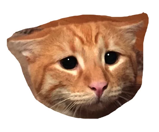 Эмодзи Caticker