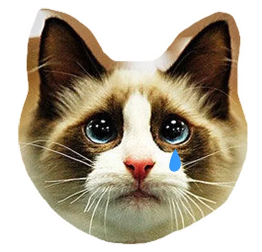 Эмодзи Caticker