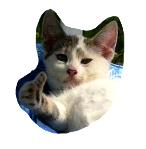 Эмодзи Caticker