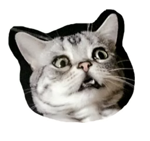 Эмодзи Caticker