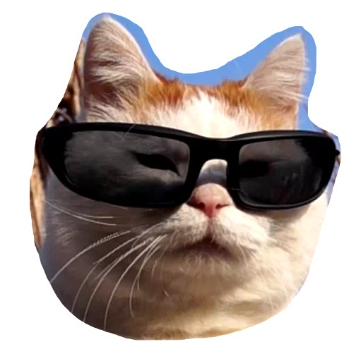 Эмодзи Caticker