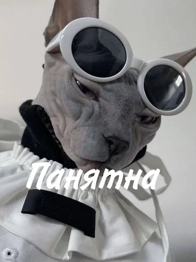 Эмодзи котики