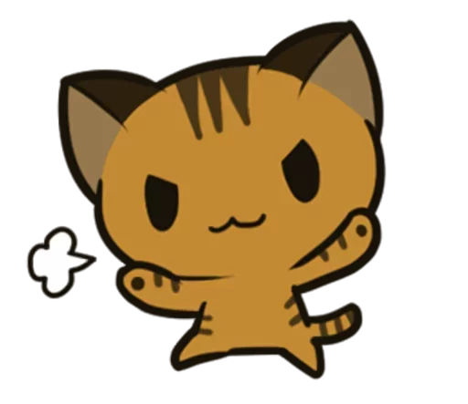 🐱