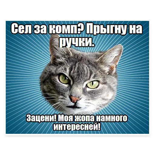 Эмодзи ? Мемы с Котом