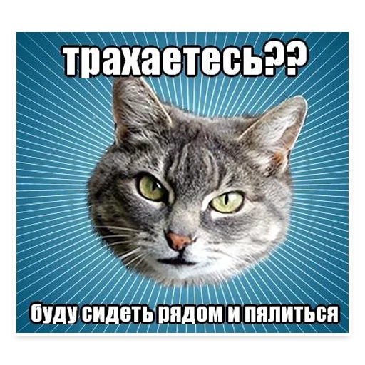 Эмодзи ? Мемы с Котом