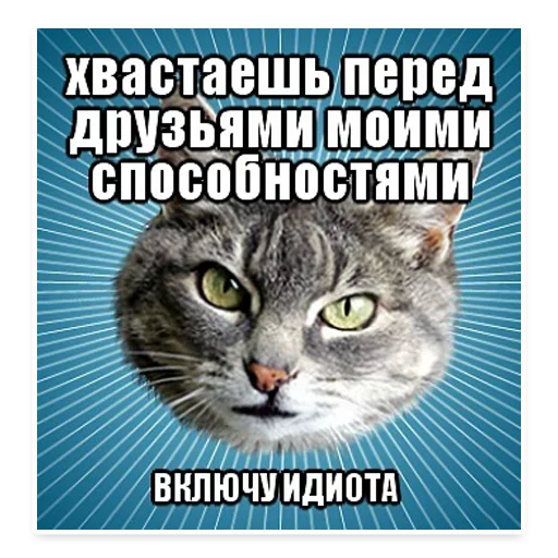 Эмодзи ? Мемы с Котом