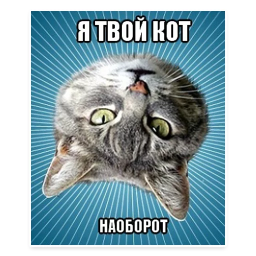 Эмодзи ? Мемы с Котом