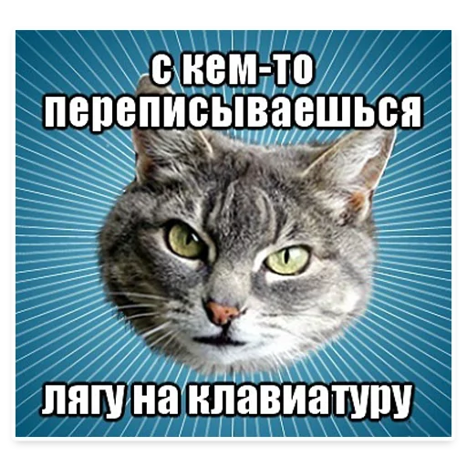 Эмодзи ? Мемы с Котом