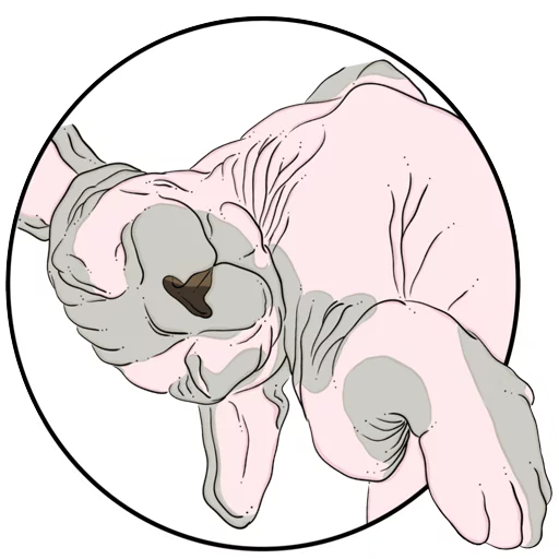 Эмодзи Catsы