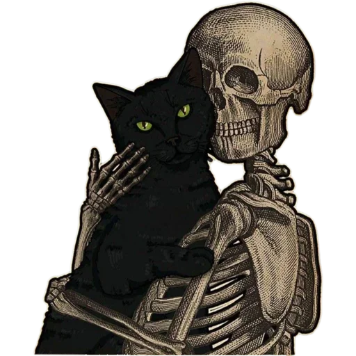 Эмодзи Cats Vision