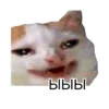 Эмодзи Cats meme
