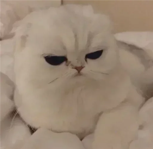 Эмодзи Cat😺