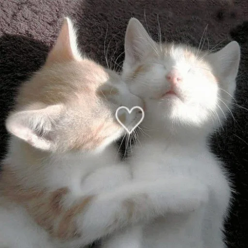 Эмодзи Коты