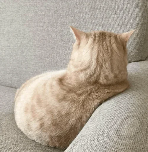 ?