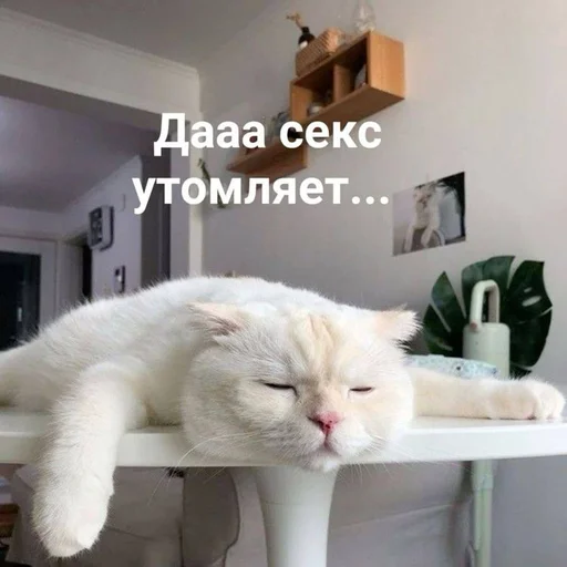 Эмодзи Memes | Мемы