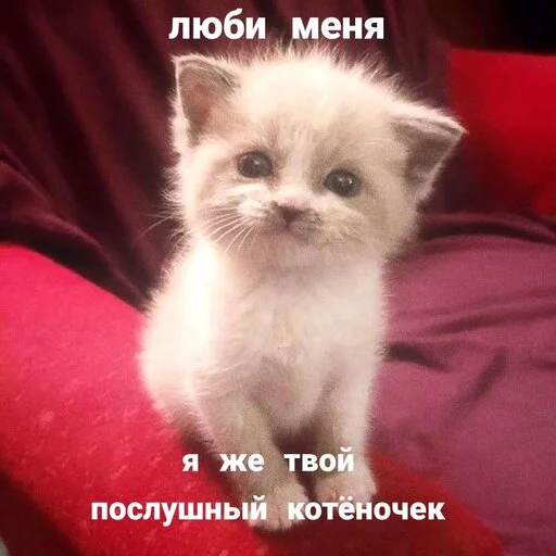 Эмодзи Memes | Мемы