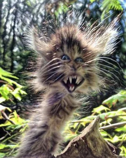 Эмодзи Чилипиздрик