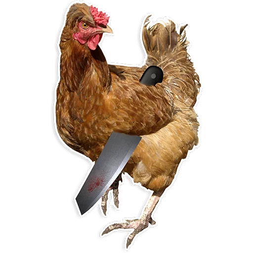 Эмодзи Куры