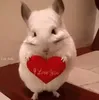 Эмодзи Cool Chinchilla