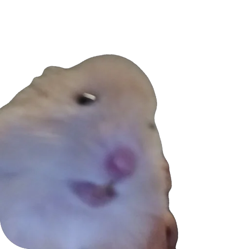 Эмодзи Хомяк Личи