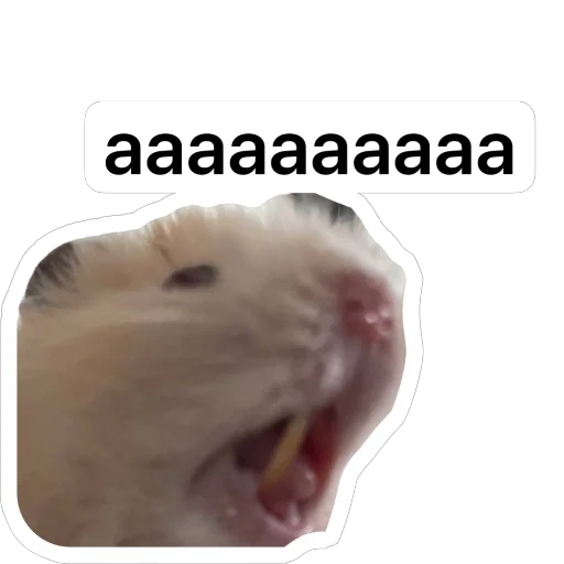 Эмодзи Хомяк Личи