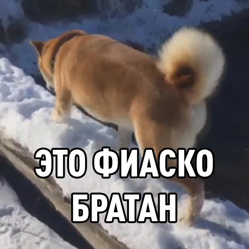 Эмодзи Chornobay