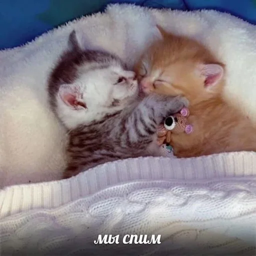 Эмодзи Намёки для тебя