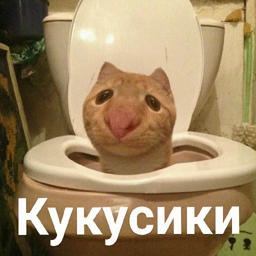 Эмодзи Выпуклые коты