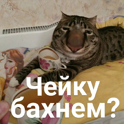 Эмодзи Выпуклые коты