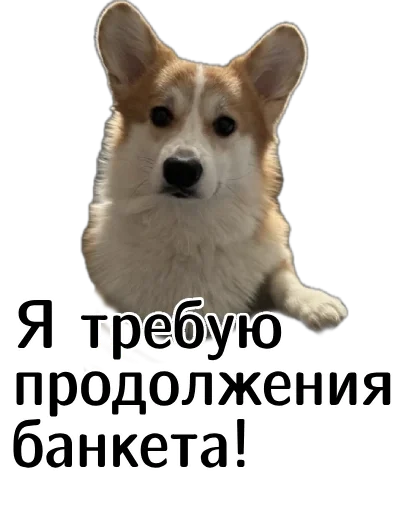 Эмодзи Corgi Cheetos