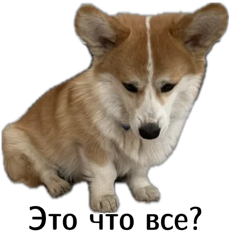 Эмодзи Corgi Cheetos