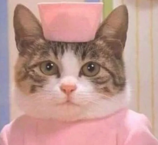 Эмодзи Coronactual memes