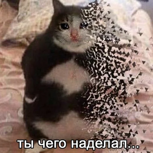 Эмодзи Memes | Мемы