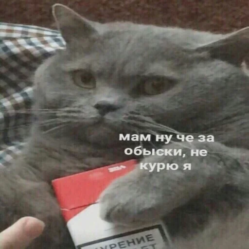 Эмодзи Memes | Мемы