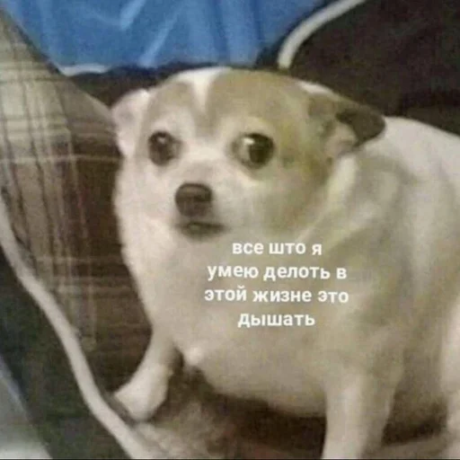 Эмодзи Memes | Мемы