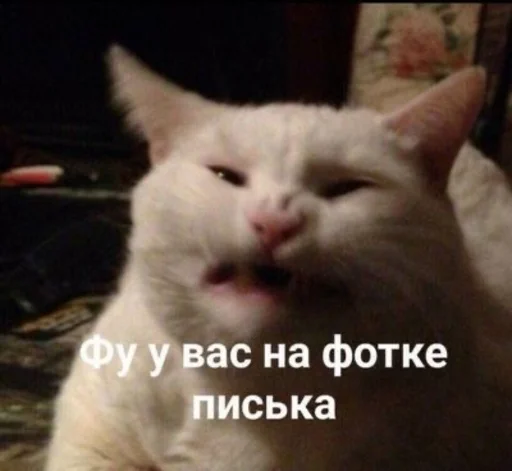 🤭