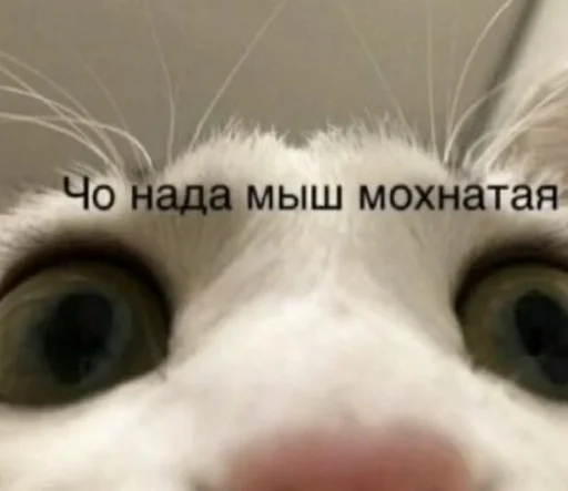 Эмодзи Cvcv